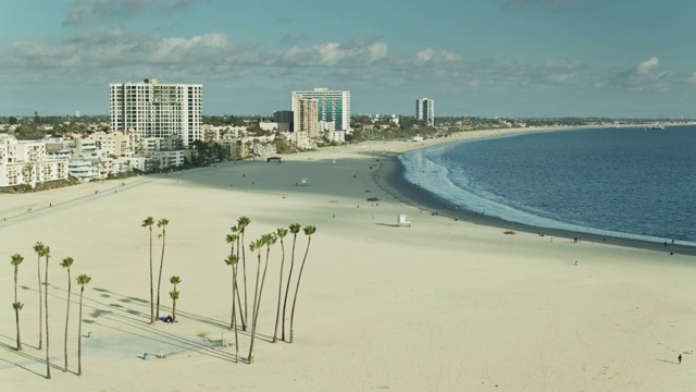 加州长滩阿拉米托斯海滩上的棕榈树-无人机拍摄视频素材