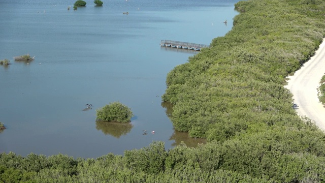 从空中俯瞰墨西哥科苏梅尔的沼泽和海滩视频素材