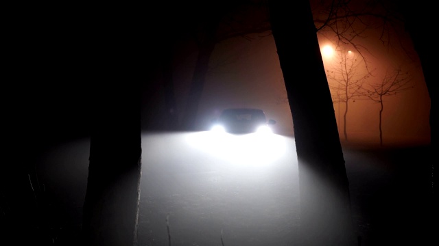 汽车灯光照亮背景。树林里神秘的汽车，恐怖的场景视频下载