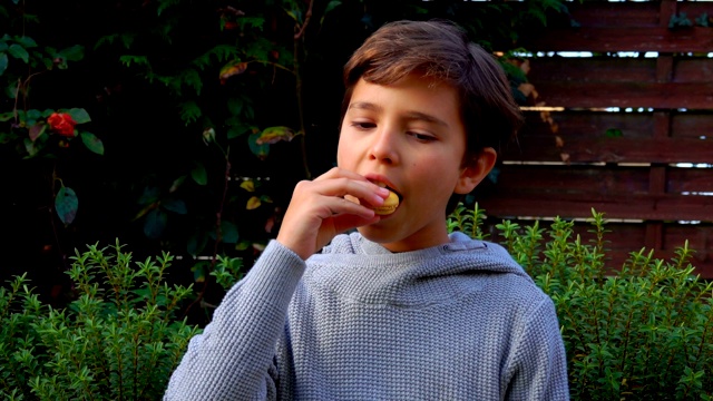 一个十几岁的男孩吃了一个法式杏仁饼干杏仁饼视频下载