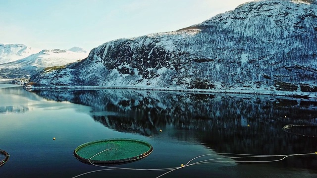 挪威的鲑鱼渔场视频素材