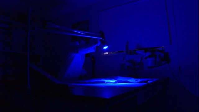 病理学家用蓝光来评估犯罪受害者的衣服。视频下载