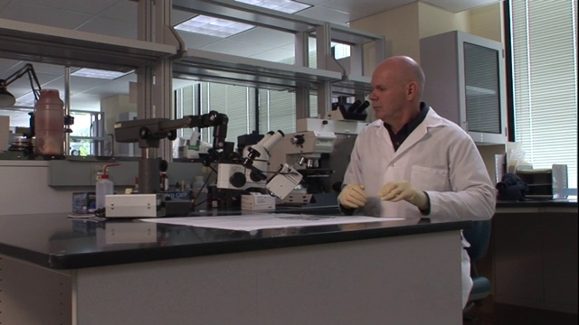 一位科学家在法医实验室里使用显微镜。视频素材