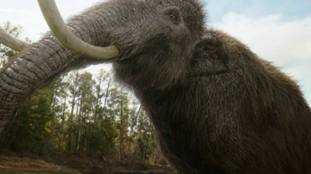 在电脑制作的动画中，一头乳齿象在森林附近发声。视频素材