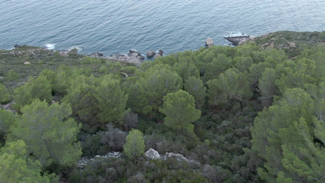 一架无人机从海边树木繁茂的山坡上落下视频素材