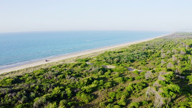 意大利加尔加诺国家公园，沿着长长的、阳光灿烂的遥远海滩的树木视频素材
