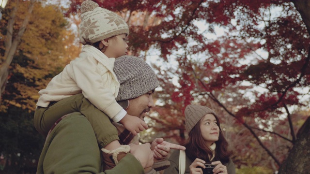 亚洲母亲在一个美丽的公园里拍摄她的家人在秋天的时间视频素材