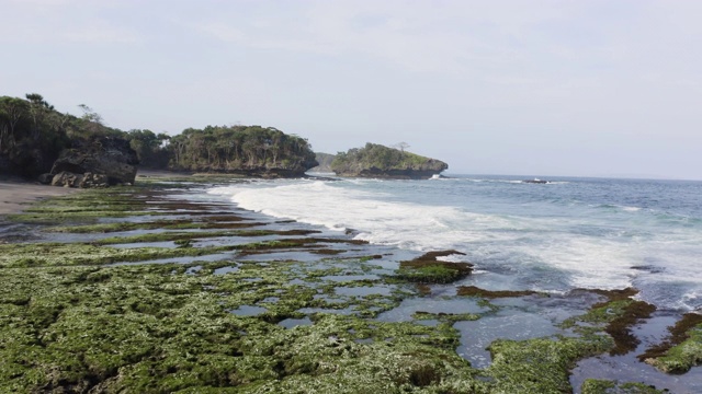 无人机航拍绿色海岸与沙滩与悬崖和棕榈树视频素材