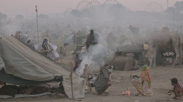 印度骆驼市场，人们在火旁。视频下载