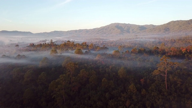 空中拍摄的雨林和雾与山视频素材