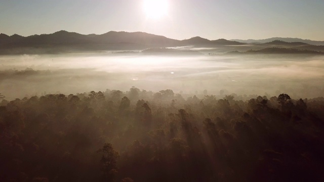 日出与薄雾松林和山在早晨，航拍视频素材