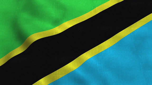 坦桑尼亚国旗迎风飘扬。坦桑尼亚联合共和国国旗视频素材
