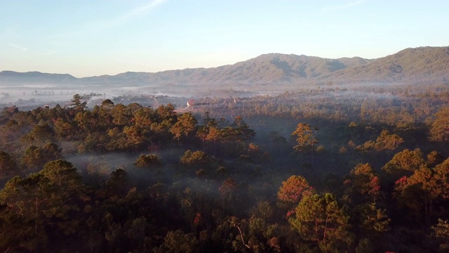 空中拍摄的雨林和雾与山视频素材