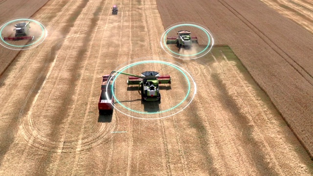 农业自主运输。自动驾驶的收割机骑在麦田上收割庄稼。鸟瞰图视频素材