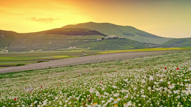 意大利翁布里亚Castelluccio，日落时风景秀丽的山谷，宁静的野花视频素材
