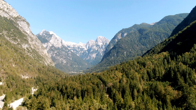 山谷与绿色的松林在阳光明媚的一天。朱利安阿尔卑斯山和蓝色多云的天空是在背景/无人机视图视频素材