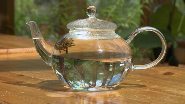 水茶壶里的花香草视频下载