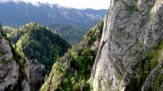 Zarnesti峡谷的壮观景色，Piatra Craiului国家公园，喀尔巴阡山脉/无人机拍摄，罗马尼亚视频下载