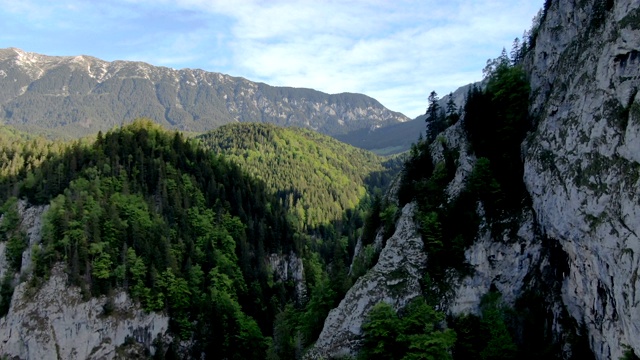 Zarnesti峡谷的壮观景色，Piatra Craiului国家公园，喀尔巴阡山脉/无人机拍摄，罗马尼亚视频下载