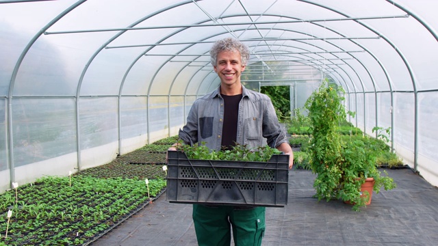 园丁在温室里养了一箱植物视频下载