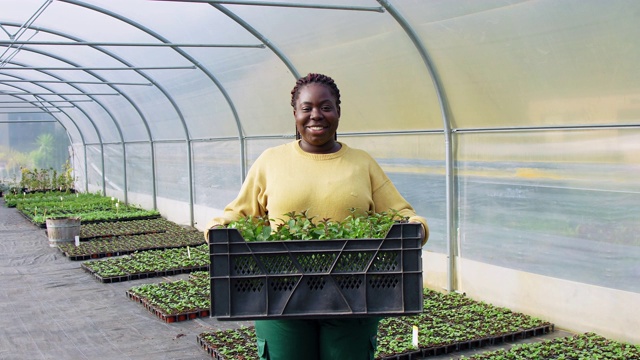 微笑女人的肖像与植物箱在温室视频素材