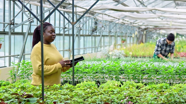 在园艺中心清点植物的女人视频下载