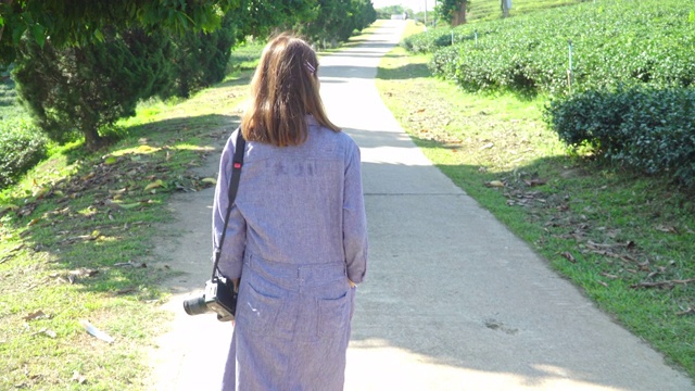 年轻美丽自信的亚洲女人穿着蓝色连衣裙，带着数码相机在夏日的早晨走过茶园农田。在大自然中放松和享受户外生活的亚洲女性。视频下载
