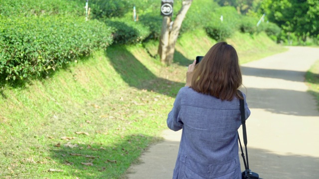 年轻的亚洲女性用智能手机拍自然照片视频素材