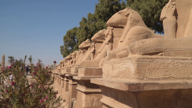 卡纳克神庙。狮身人面像大道和公羊头。在卢克索。埃及。视频素材