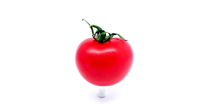 白色背景下的红番茄视频下载