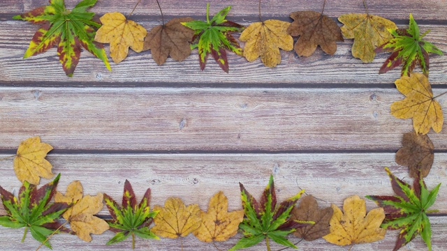 秋天的框架与树叶在秋天的颜色在桌子上与空白的文字-停止运动视频下载