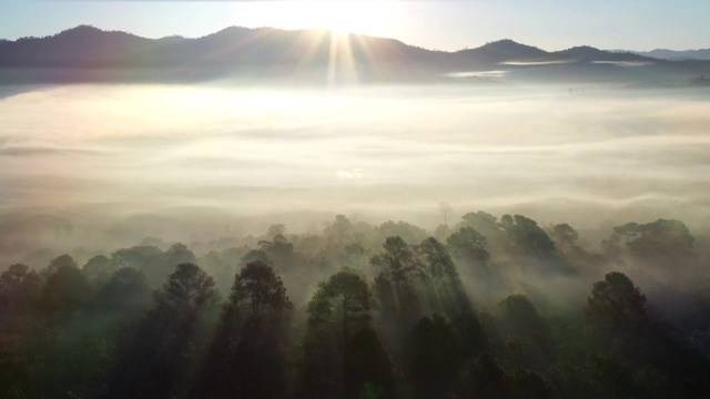 清晨鸟瞰图有雾视频素材