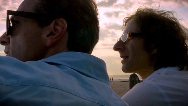 两个男人在海滩上看夕阳视频素材
