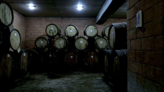 陈年木桶与葡萄酒，白兰地或威士忌在一个大仓库。多莉，浪人移动一长排酒桶在一个葡萄酒酿造厂与酒精。视频下载