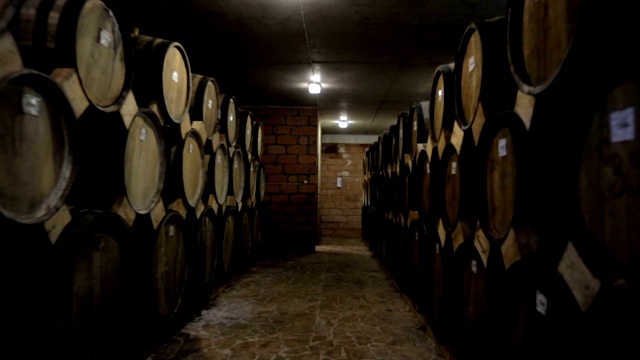 陈年木桶与葡萄酒，白兰地或威士忌在一个大仓库。多莉，浪人移动一长排酒桶在一个葡萄酒酿造厂与酒精。视频下载