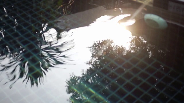 影子在水上视频素材