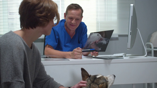 兽医与哈士奇交谈，并显示狗的x光，慢动作视频素材