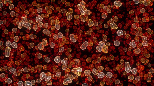 胚胎干细胞集落在显微镜下的无缝三维动画视频素材