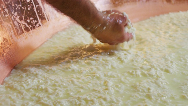 慢镜头近距离拍摄的一个奶酪制作者正在准备一种形式的帕尔玛奶酪使用新鲜和生物牛奶遵循古老的意大利传统视频素材