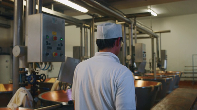 慢镜头的奶酪制作者正在监督帕尔马干酪的生产，使用新鲜的生物牛奶，遵循古老的意大利乳品工厂的传统视频素材