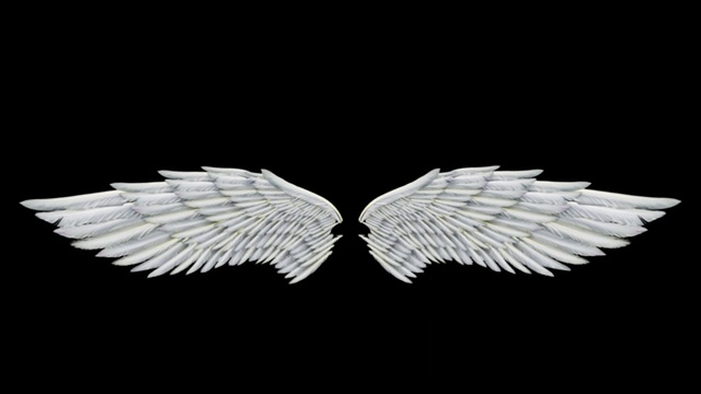 天使的翅膀。毛圈。易于使用。视频下载