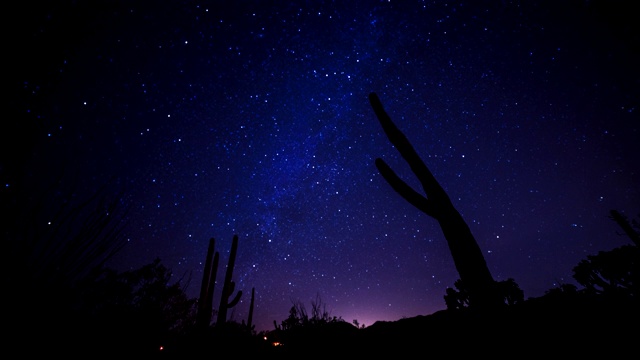 银河系之夜TL在索诺兰沙漠仙人掌后面视频下载