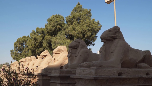 埃及卢克索神庙入口处的公羊雕像视频素材