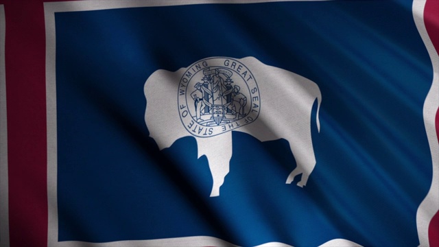 怀俄明州的国旗在风中飘扬。动画。怀俄明州的国旗由一头美洲野牛的剪影组成视频下载