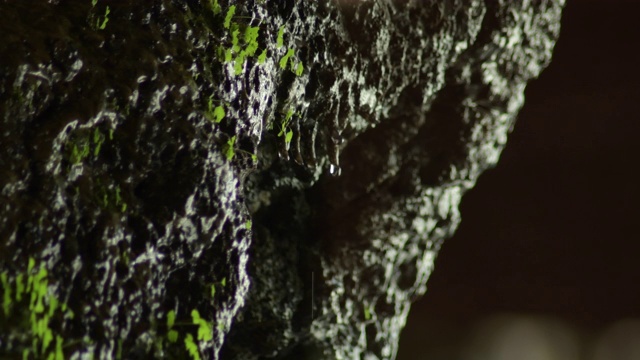在洞穴里，水滴从岩石上滑下来视频素材