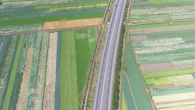 中国的国道G95在夏天穿过农田视频素材