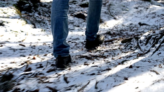 追踪摄像头低广角后视图的男性旅行者与一个背包行走在一条路径在一个针叶林在冬天。找到你的方式和旅行的概念。prores 422视频素材