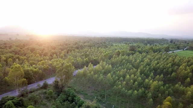 美丽的森林鸟瞰图上的日落视频素材