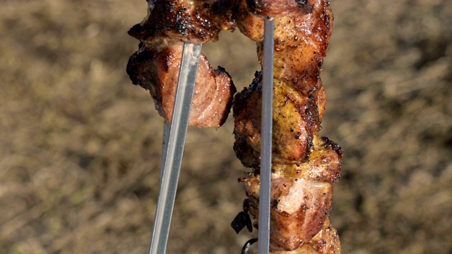 野餐时，在烤架上炸好的新鲜可口的猪肉用刀从串上切下来放到露天下的盘子里。白种人户外食物和烧烤概念视频素材