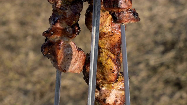 野餐时，在烤架上炸好的新鲜可口的猪肉用刀从串上切下来放到露天下的盘子里。白种人户外食物和烧烤概念视频素材